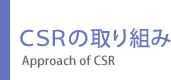CSR�̎��g��