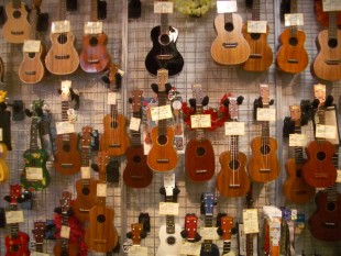 IMGP2165.JPG IMGP2165.JPG