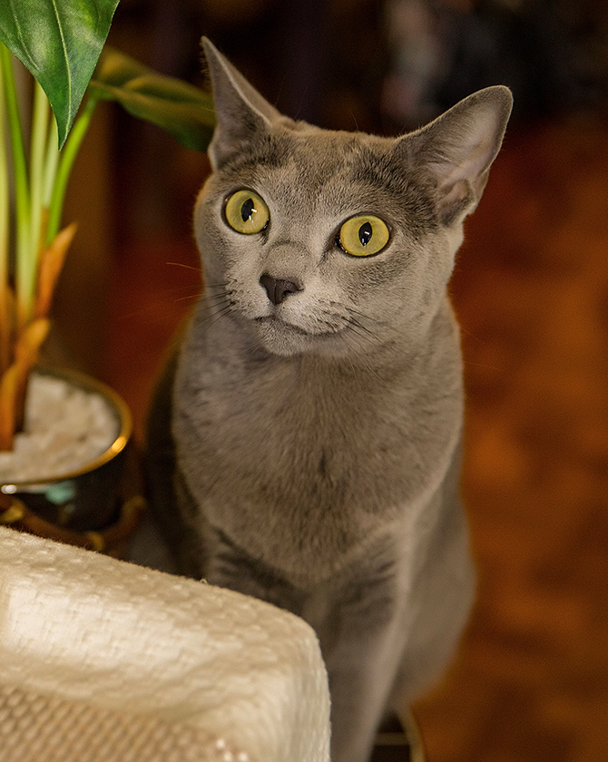 セレクト写真03