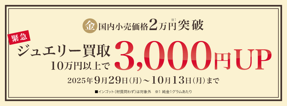 202509_ジュエリー3000円UP_1000×370_COバナー4